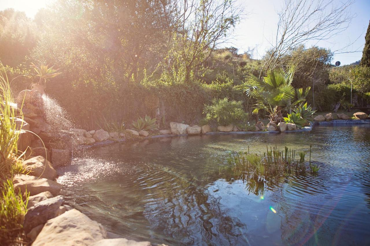Hotel Cortijo San Antonio Caminito De Rey Casarabonela Εξωτερικό φωτογραφία